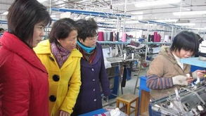 廣西賀州市僑務部門深入一線調研，精準服務僑資企業促發展